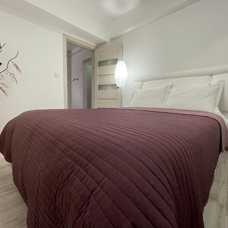 Renting Solutions Iulius Mall 이아시 외부 사진
