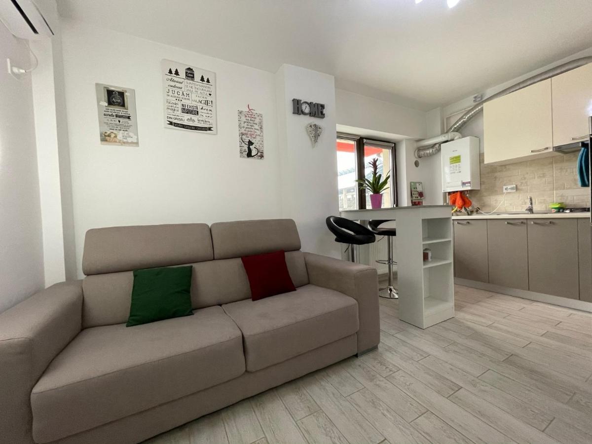 Renting Solutions Iulius Mall 이아시 외부 사진